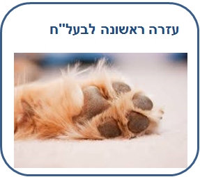 קורס עזרה ראשונה וטיפול מציל חיים בבעלי חיים